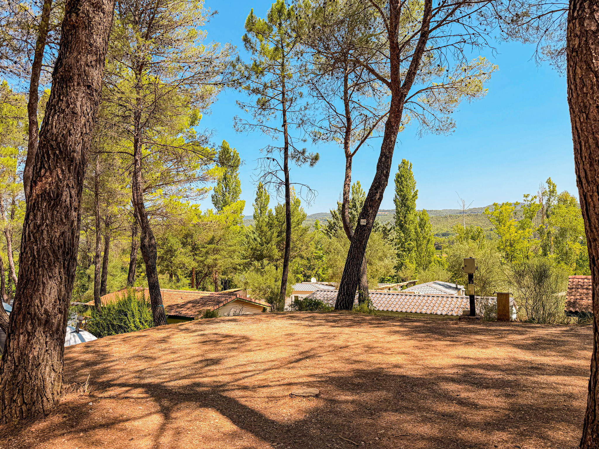 Vue d'ensemble du camping avec emplacements ombragés par les pins en forêt à Villecroze-les-Grottes.