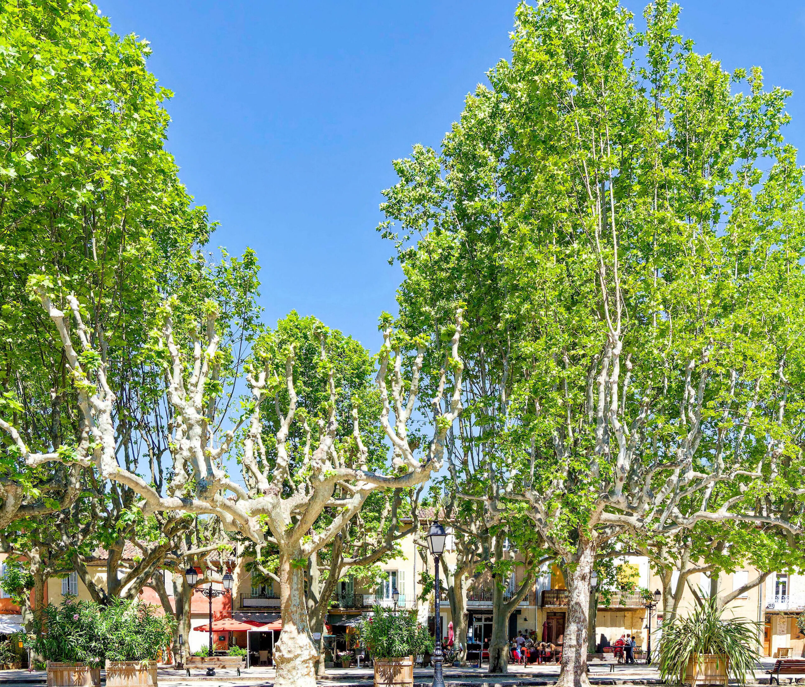 camping les cadenieres proches des commerces de vilecroze les grottes
