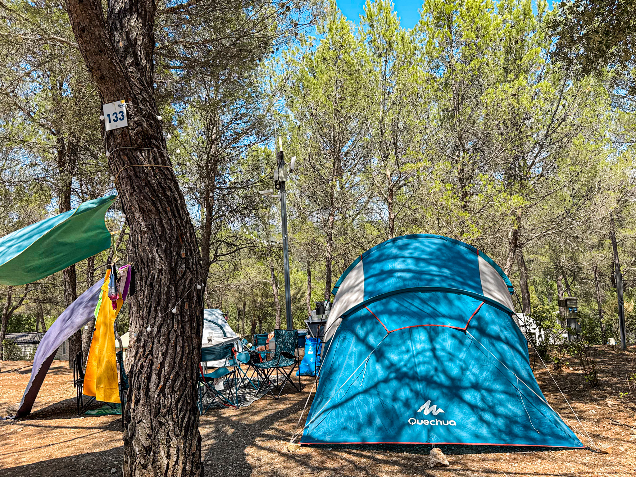 Tente de camping bleu turquoise et hamac en forêt de pins à Villecroze-les-Grottes.