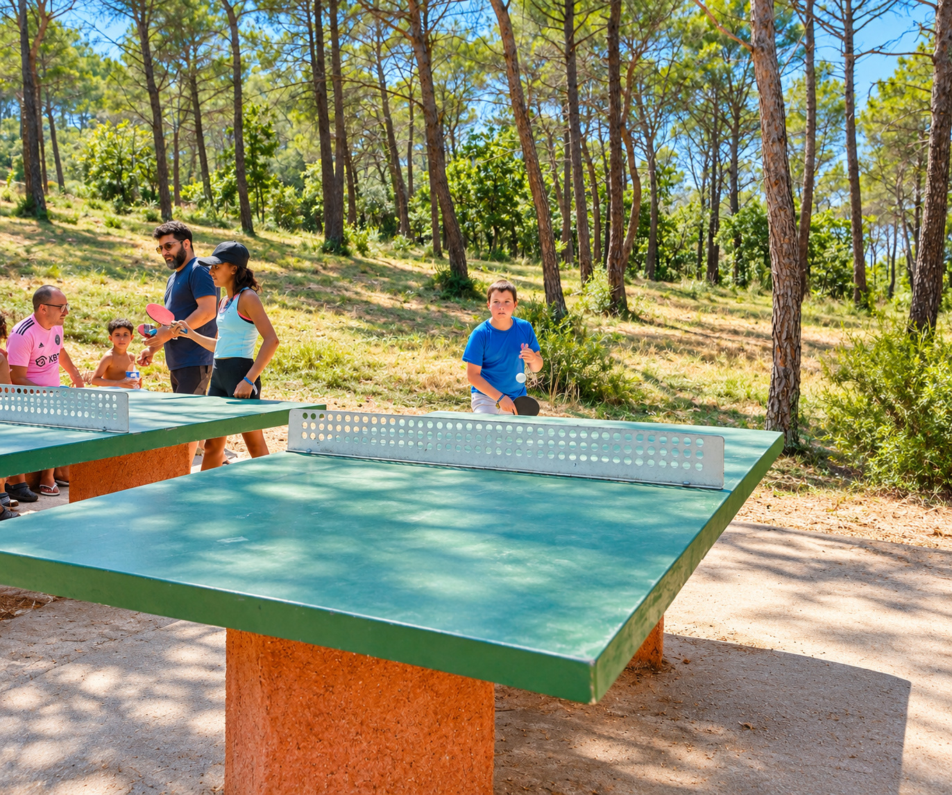 ping pong table ombrage arbres famille le var