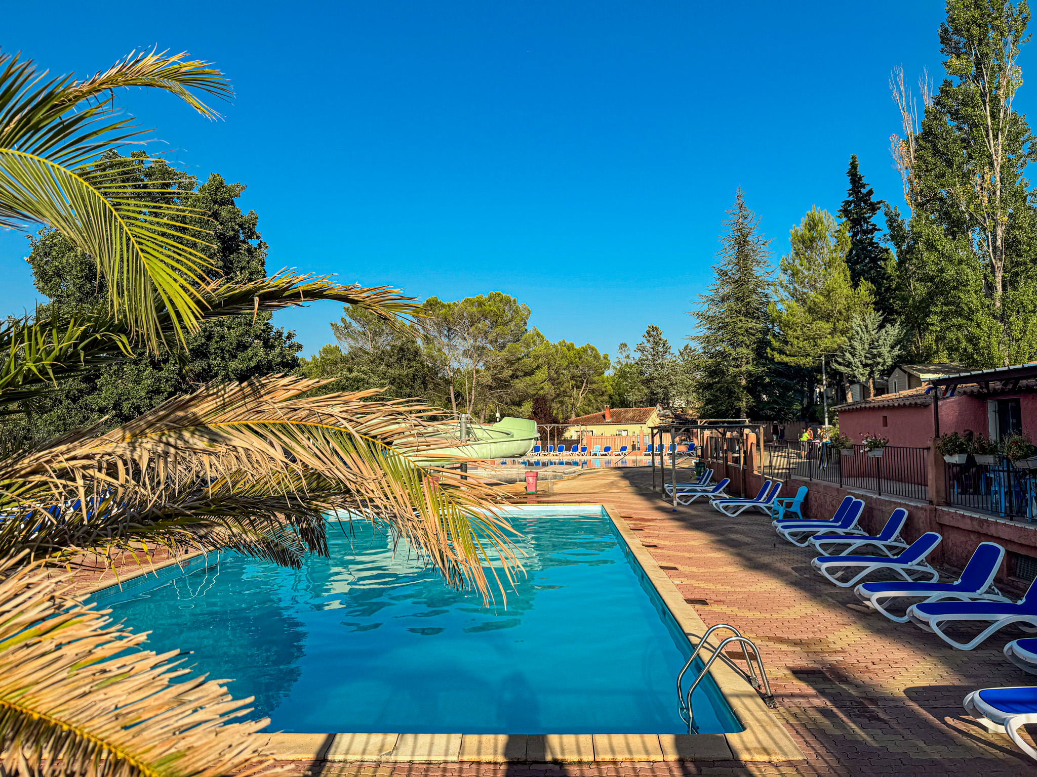 Piscine avec transats bleus et palmiers ombragés à Villecroze-les-Grottes, camping familial.