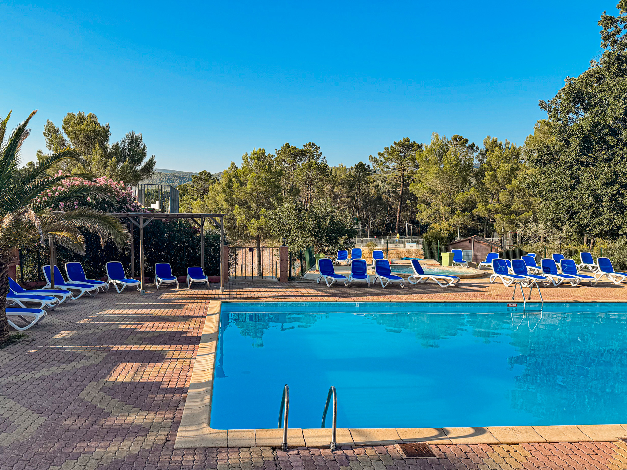 Piscine rectangle bordée de transats bleus et palmiers au camping du Var