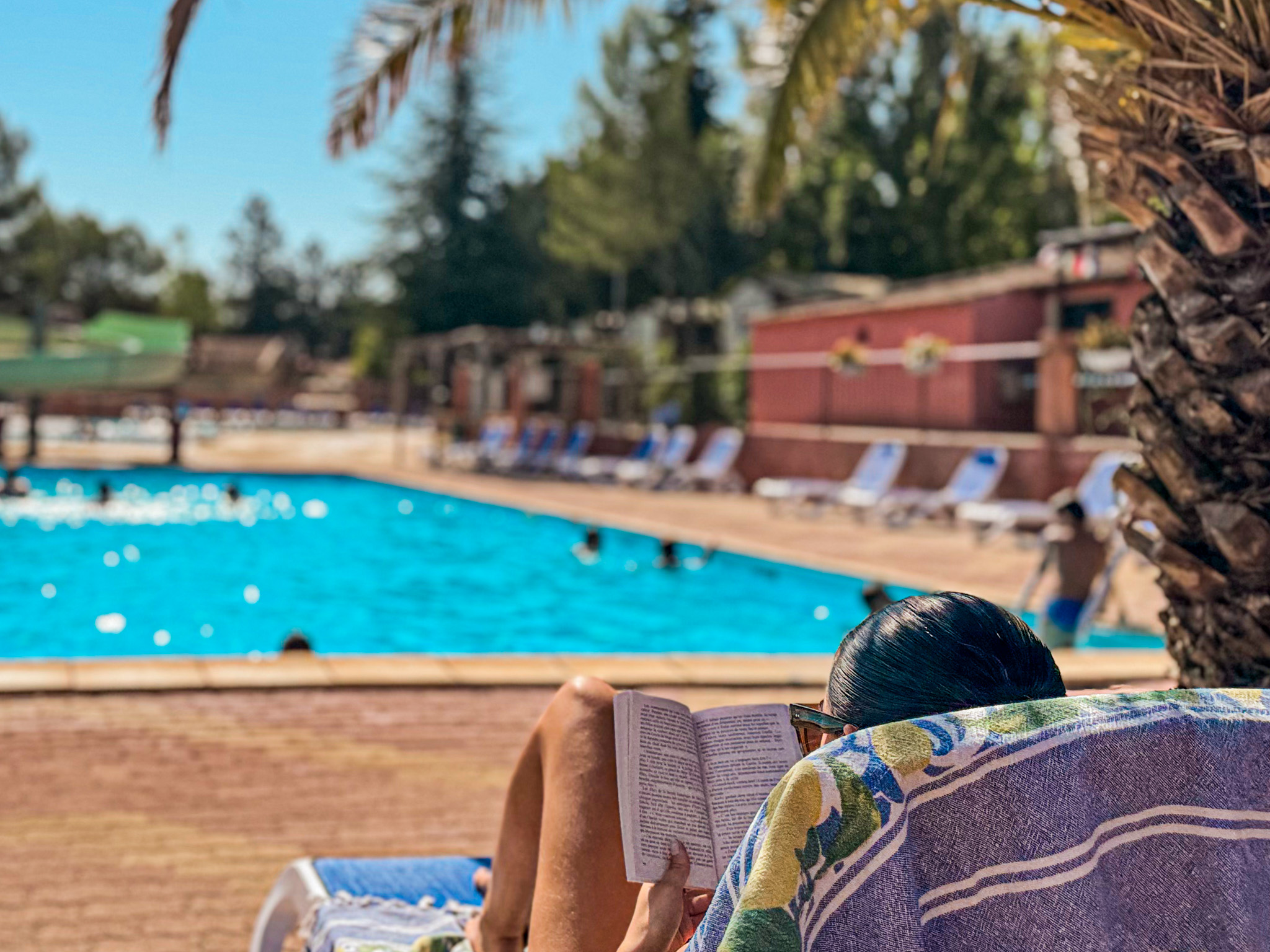 Transat avec lecture en bordure de piscine entourée de palmiers à Villecroze-les-Grottes